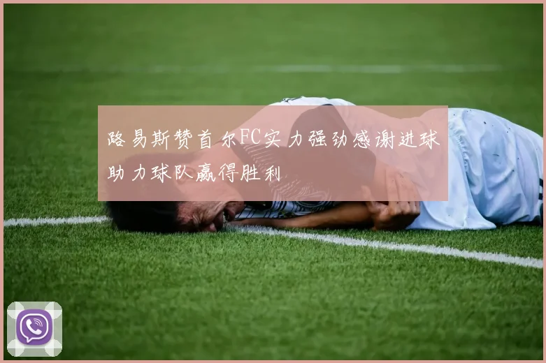 路易斯赞首尔FC实力强劲感谢进球助力球队赢得胜利