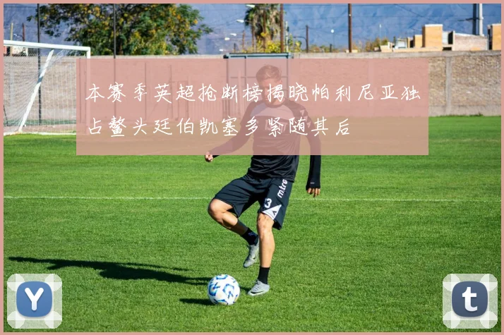 本赛季英超抢断榜揭晓帕利尼亚独占鳌头廷伯凯塞多紧随其后